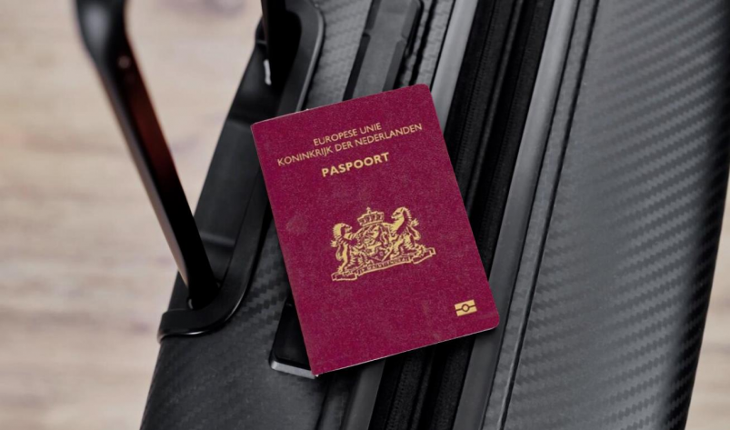 Как получить ПМЖ и гражданство после ВНЖ в Голландии