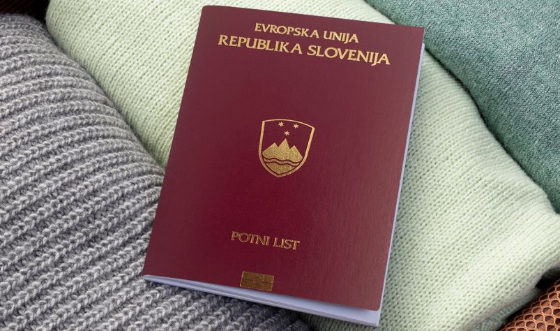 гржданство словении и пмж после внж