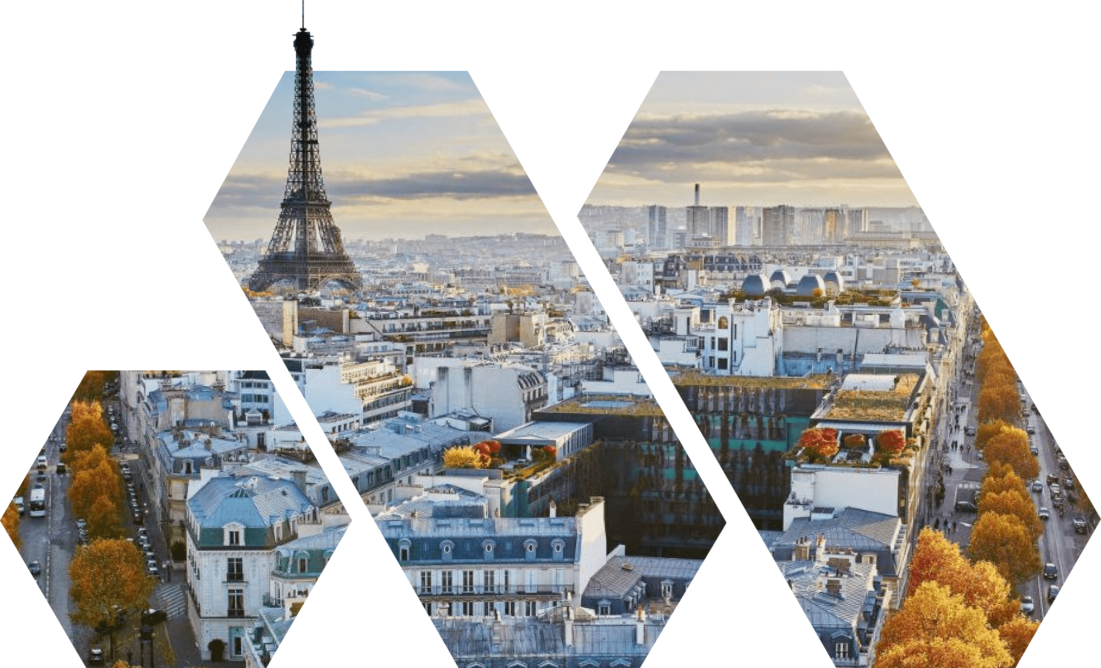 Assistance in obtaining a residence permit in France