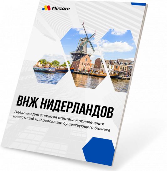 Презентация ВНЖ Нидерланды