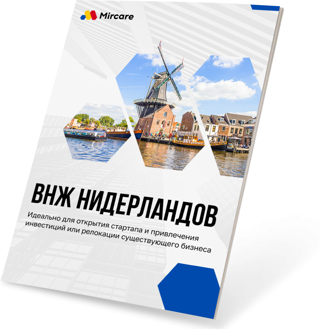 Презентация ВНЖ Нидерланды