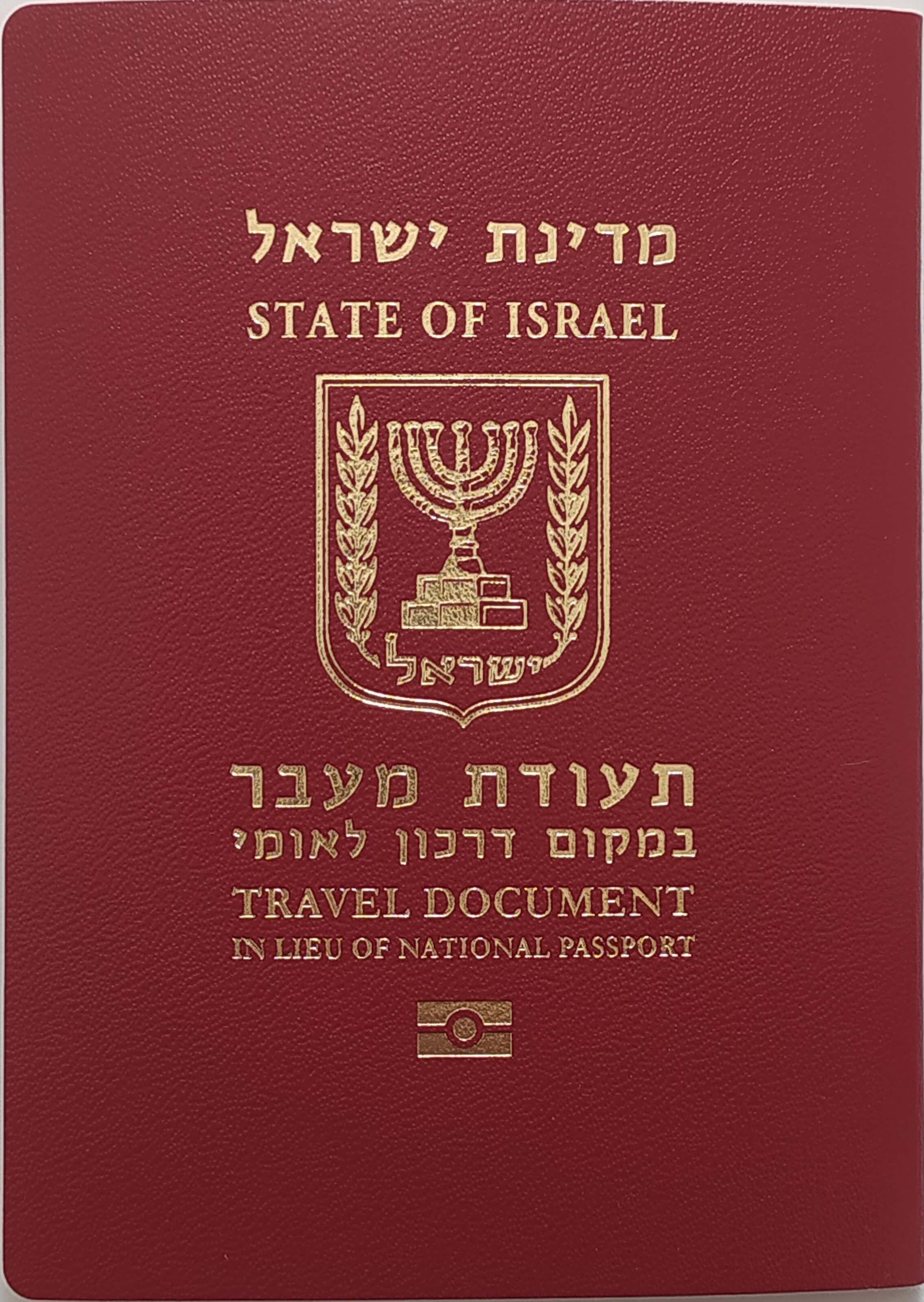 Biometric passport Teudat Maavar