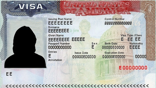 Immigrant visa EB-2NIW